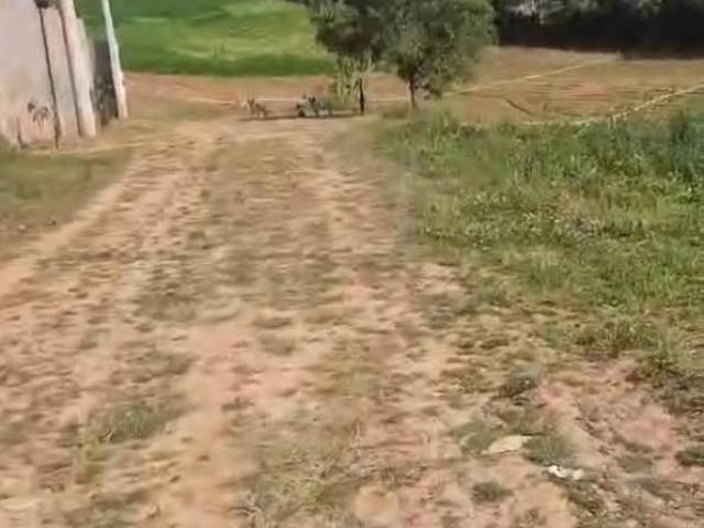 #13 - Terreno para Venda em Ibiúna - SP - 3